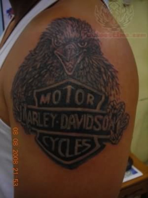 Left Shoulder Harley Davidson Eagle Tattoo